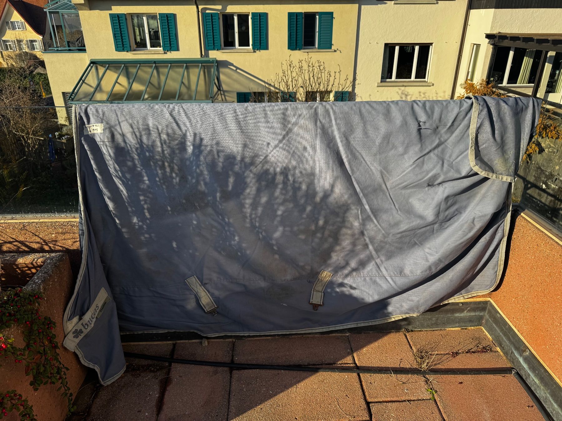 Decken: 8 Pferdedecken – Gebraucht aus Küsnacht ZH von _Mireeh_ 6