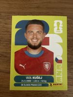 Panini Fifa CZE