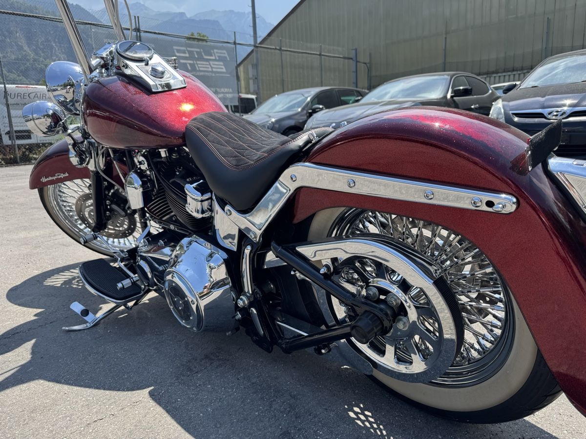 Harley-Davidson Cruisers: HARLEY-DAVIDSON FLSTC Softail – D'occasion à Chur par alt_lwl9 5