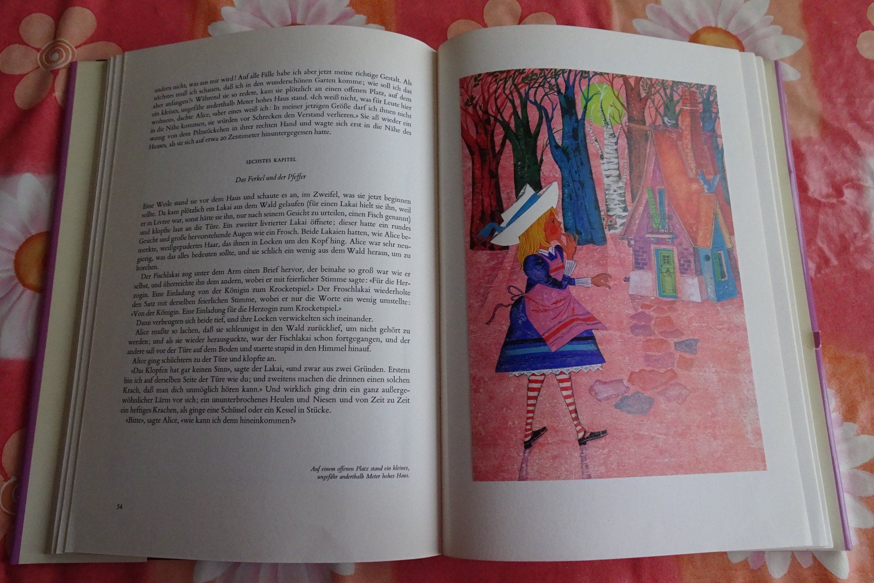 Libri: Silva Buch Alice im Wunderland – Usato da Strengelbach venduto da schmetterling20 4