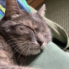 Profile image of nat_j2jm