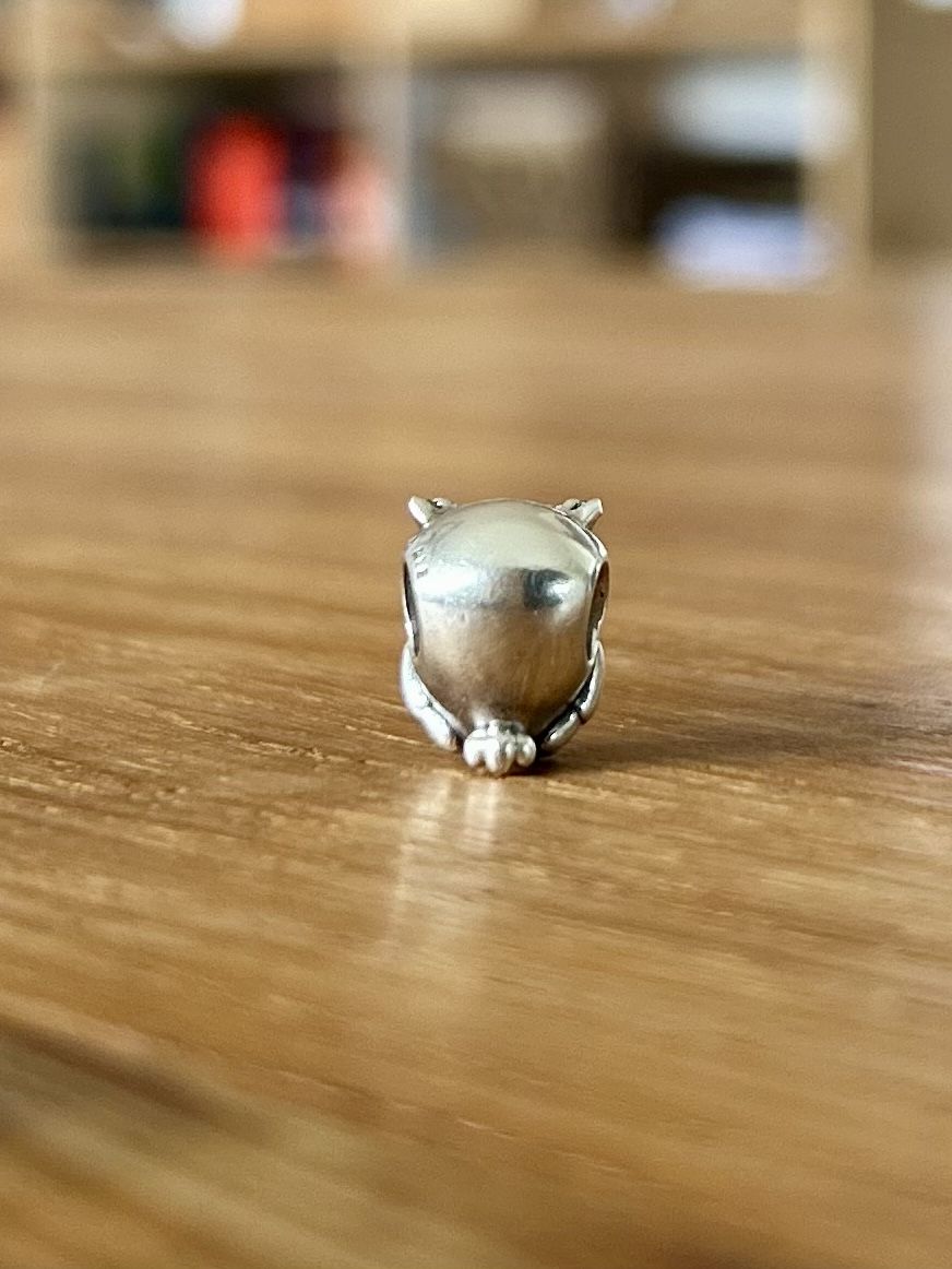 Pandora Ciondoli: Pandora hibou argent – Usato da Biel/Bienne venduto da Laurencemathys 2