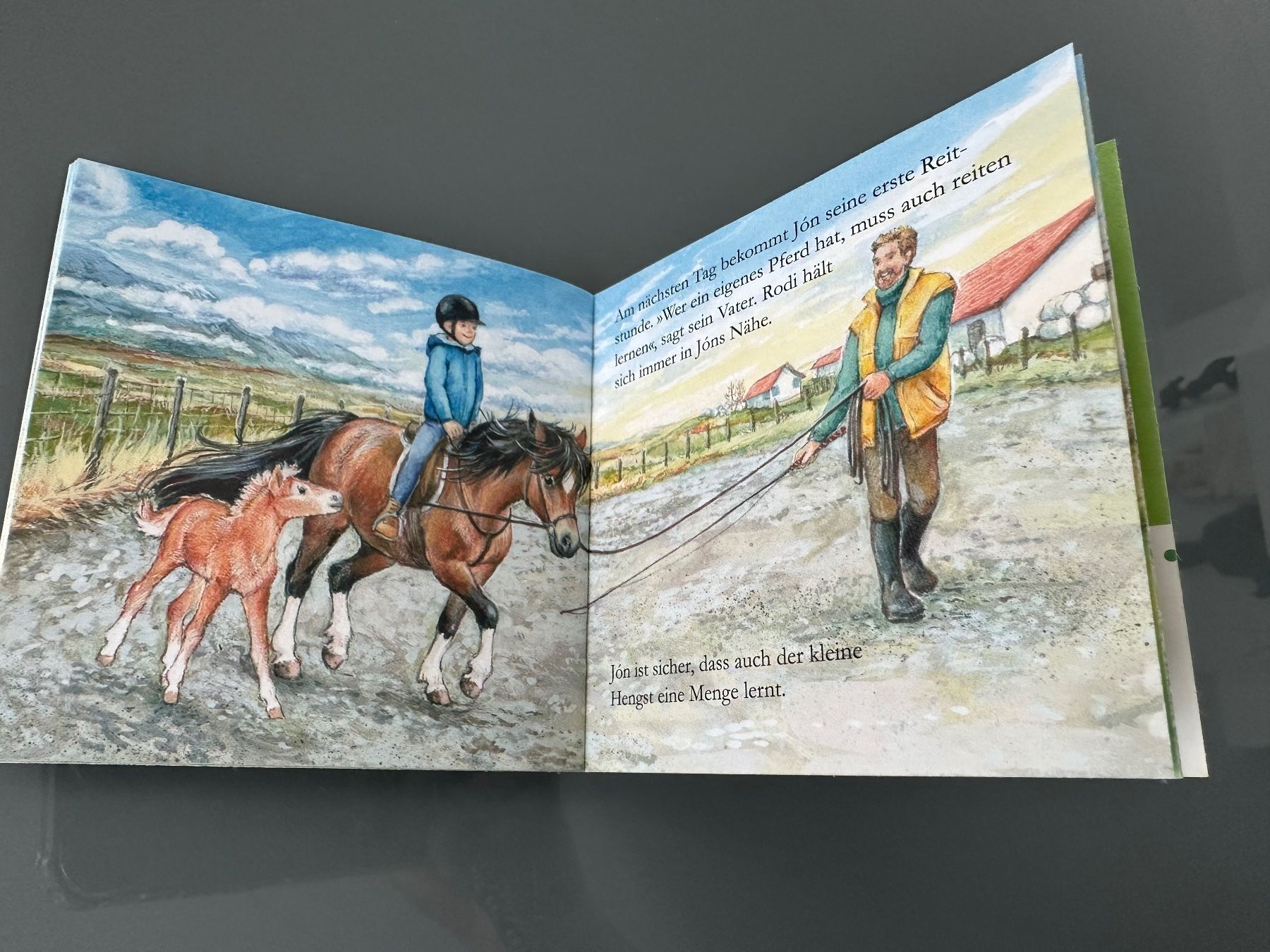 Libri: Pixi Buch - Rodi von der Sommerweide / Pferde – Nuovo (secondo la descrizione) da Zollikon venduto da Krenapf 1