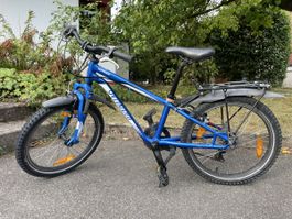 Specialized Hotrock 20" Kindervelo blau (Mountainbike)