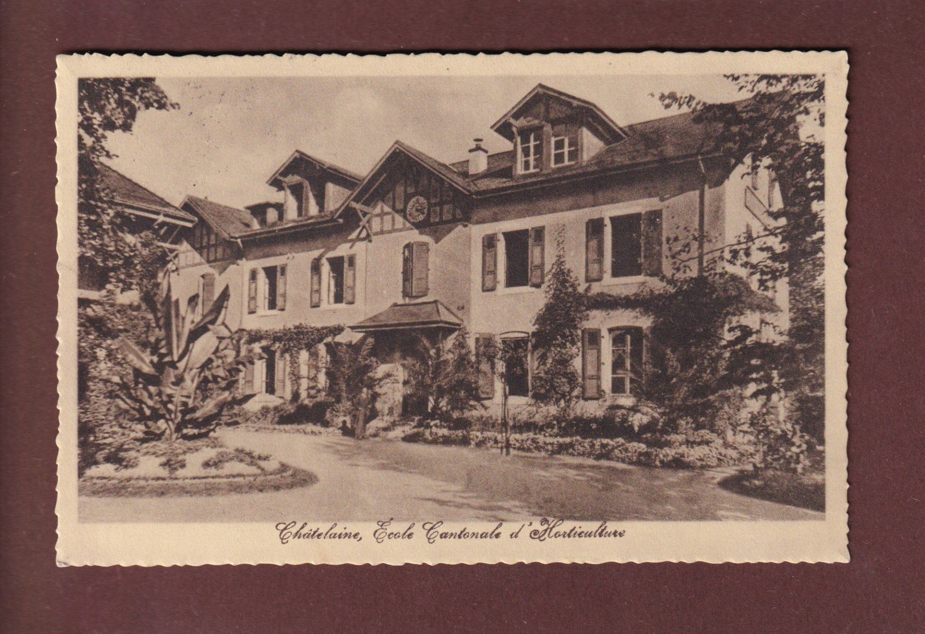 Cartoline postali: GENEVE - Châtelaine - Ecole d'Horticulture - 1931 – Usato da Pully venduto da nicecards