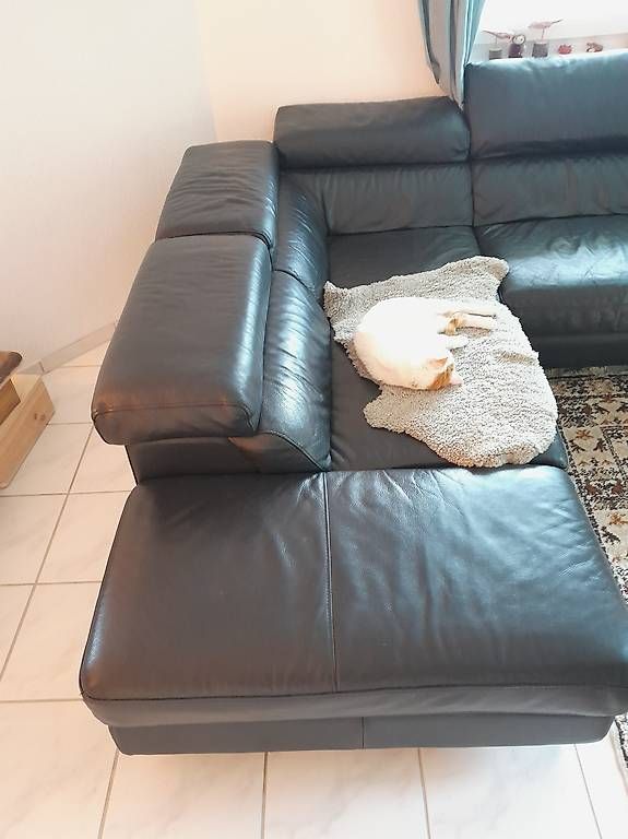 Divani: Grosses Leder-Ecksofa Schwarz (285x230 cm) – Usato da Grellingen venduto da pel_vf8z 2