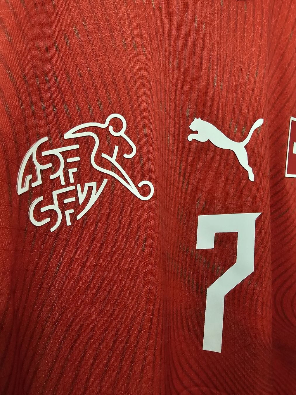 Canottiere & Pantaloni: Schweiz Spielerversion Trikot WM 2026 – Nuovo (secondo la descrizione) da Rickenbach LU venduto da LichterWelt 2