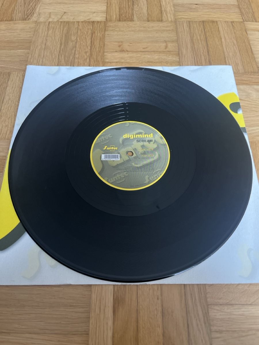 Dischi in vinile: Digimind Hard Trance / Hardstyle Vinyl – Usato da Wangen b. Olten venduto da break72 2