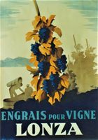 LONZA ENGRAIS VIGNE 1935 - Affiche originale