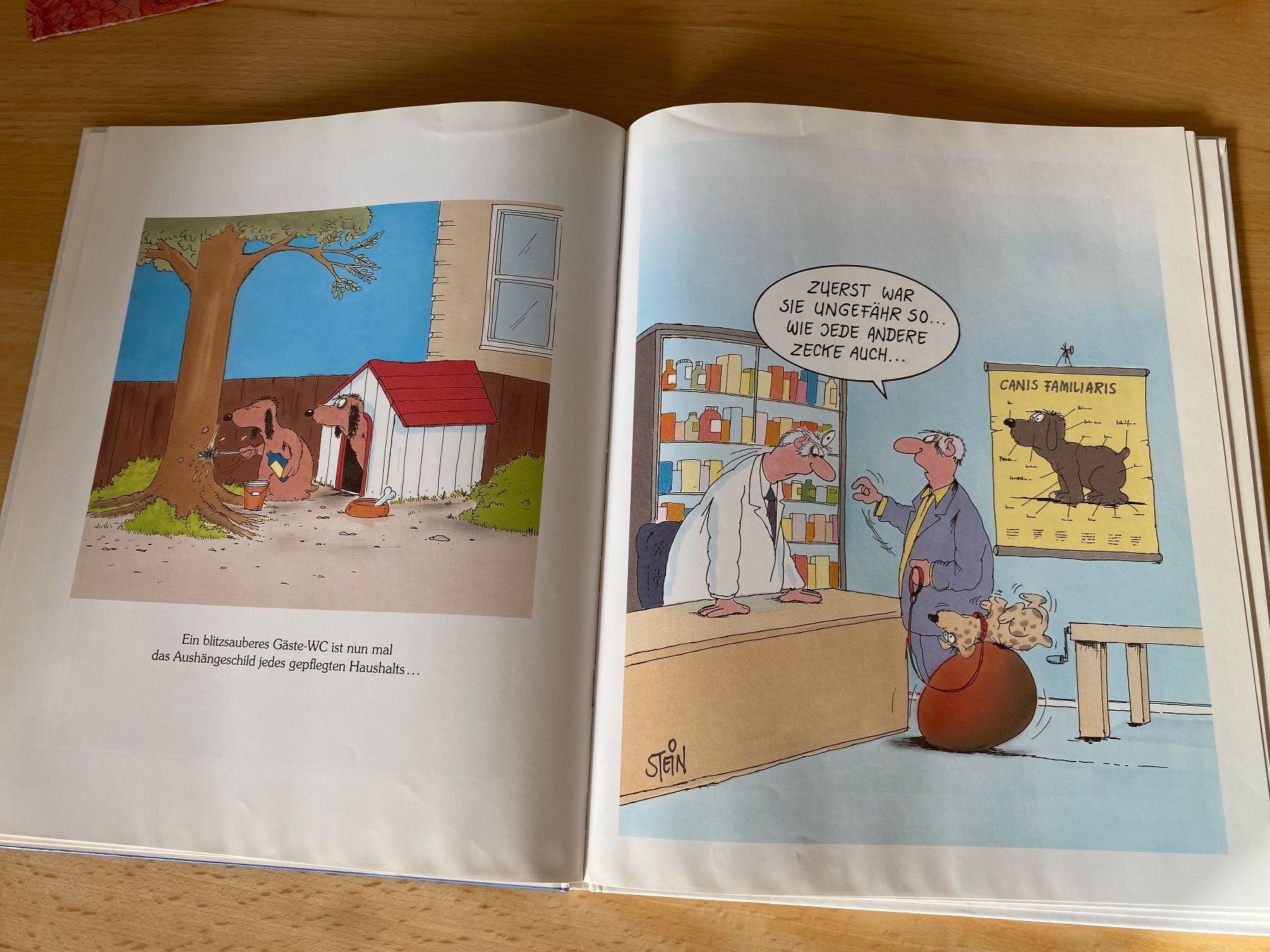 Libri: 5 lustige Comics Bücher von Uli Stein/Lappan – Usato da Schwarzenburg venduto da Michellu 6