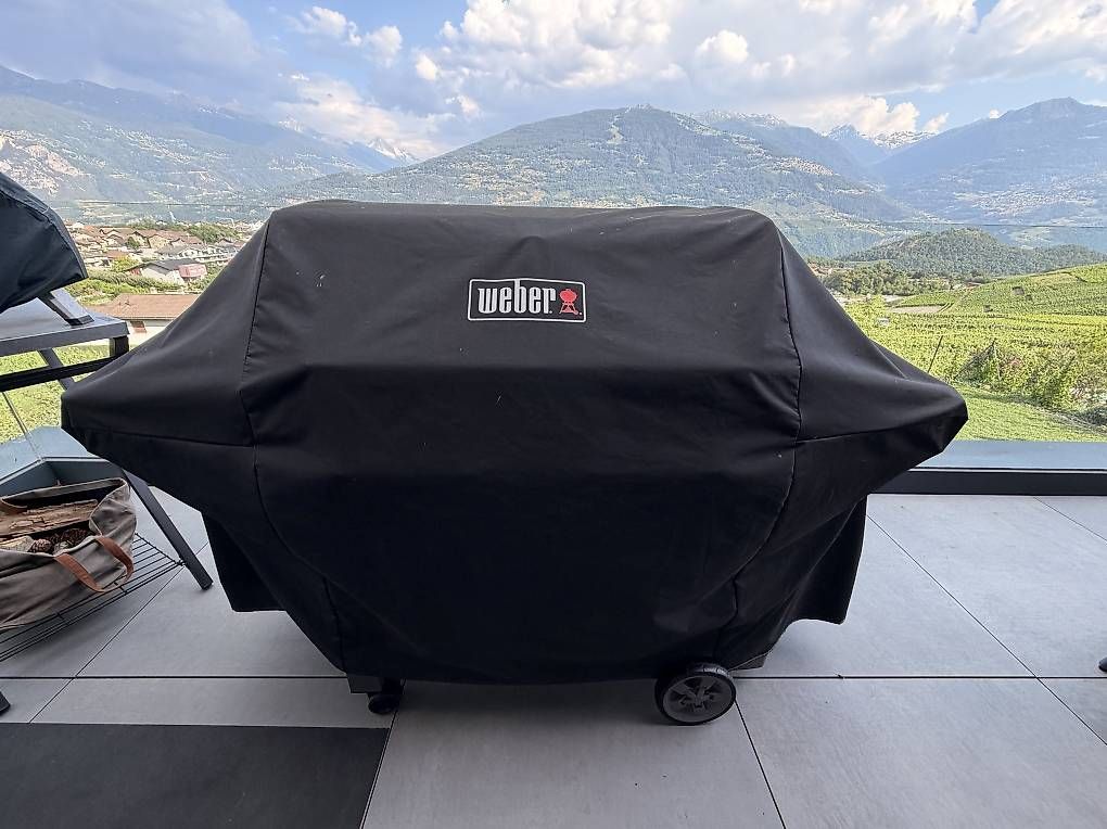 Griglie: Weber Genesis II EP-435 GBS  avec accessoires – Usato da Savièse venduto da Malut 1
