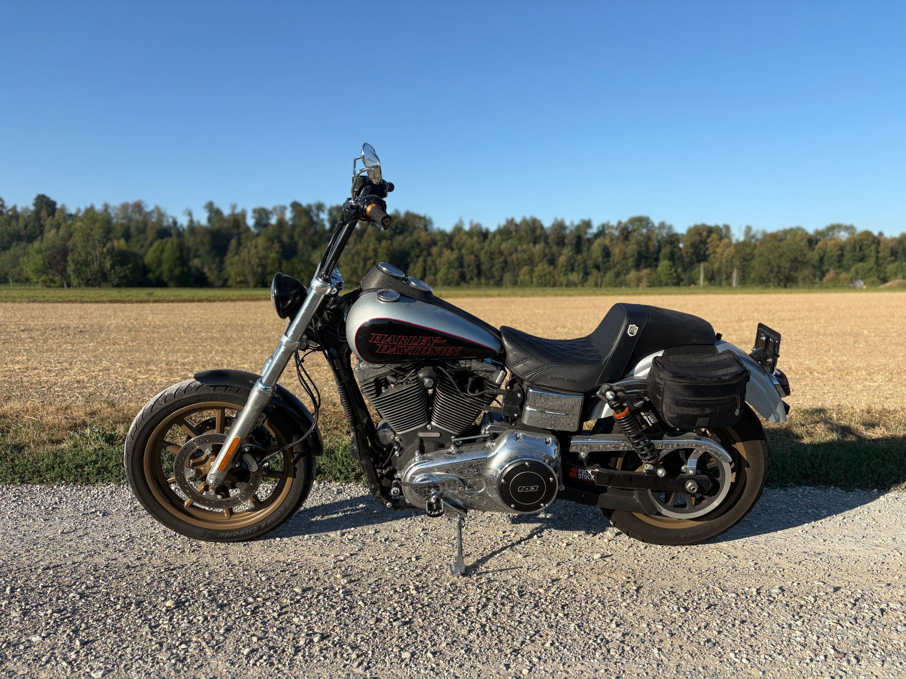 Harley-Davidson Chopper: Harley Dyna Lowrider RS – Usato da Münchwilen TG venduto da VeniceBeach02 6