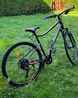 Trekking Speed Bike Herren grau matt