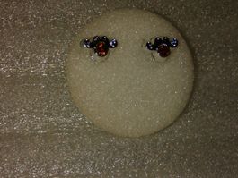 OHRRINGE MODESCHMUCK,,,MIT ROT KRISTALL