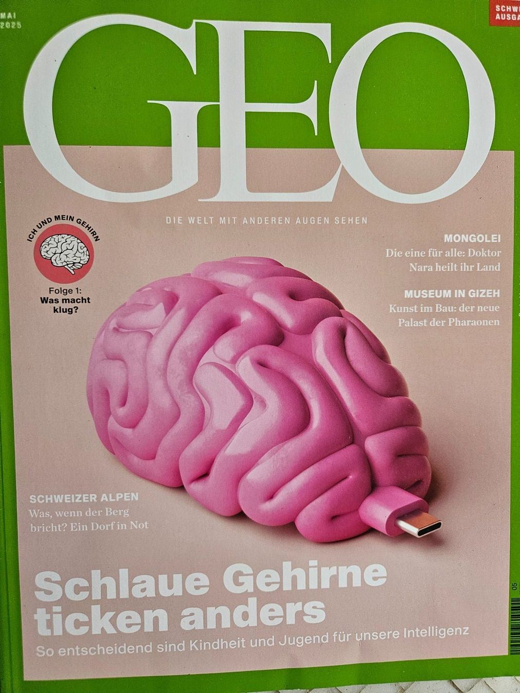 Riviste & Magazine: GEO, Schlaue Gehirne ticken anders – Usato da Zürich venduto da lorenzo167