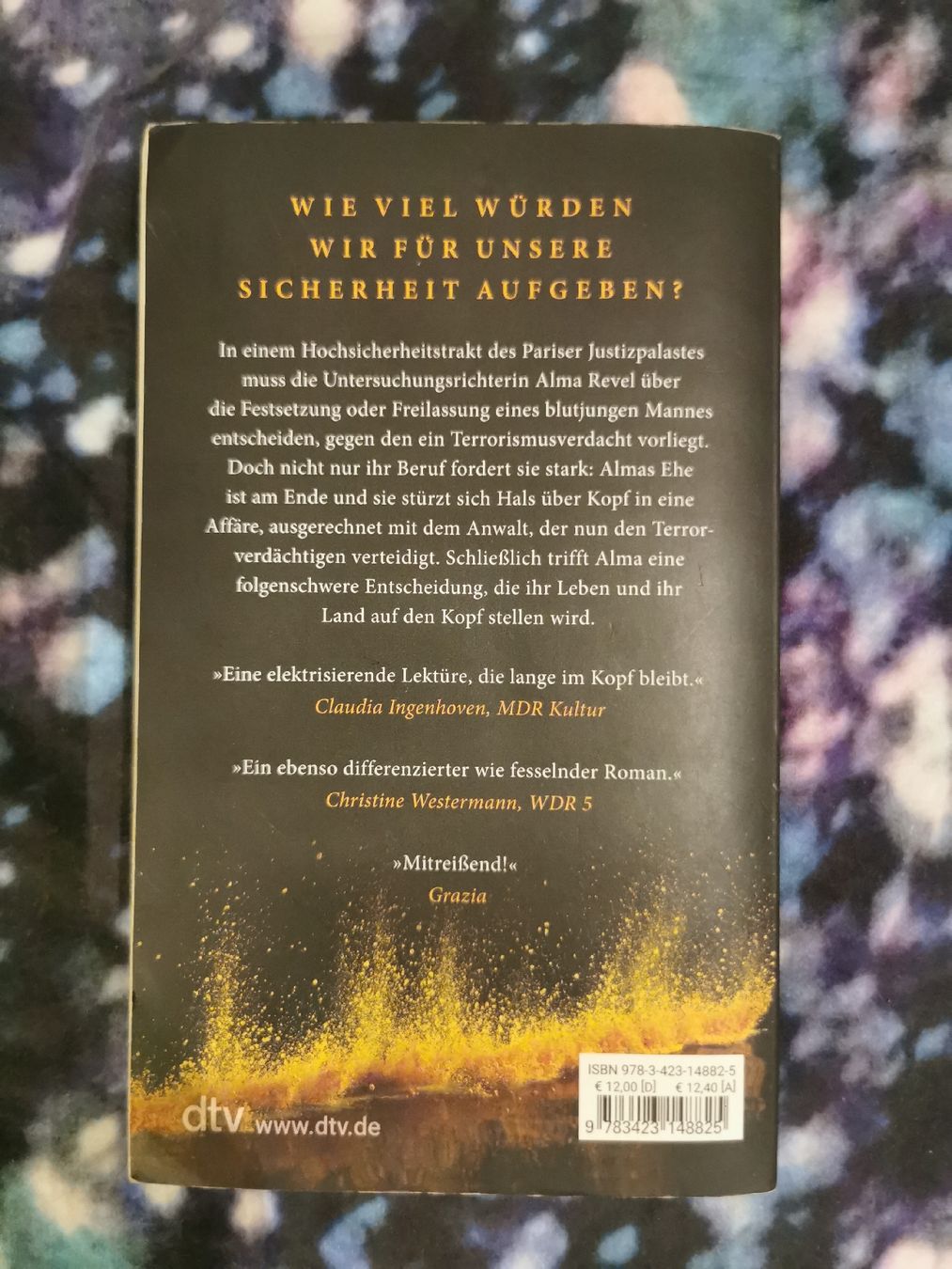 Bücher: Diese eine Entscheidung - Karine Tuil – Gebraucht aus Bern von cam_b7ts 1