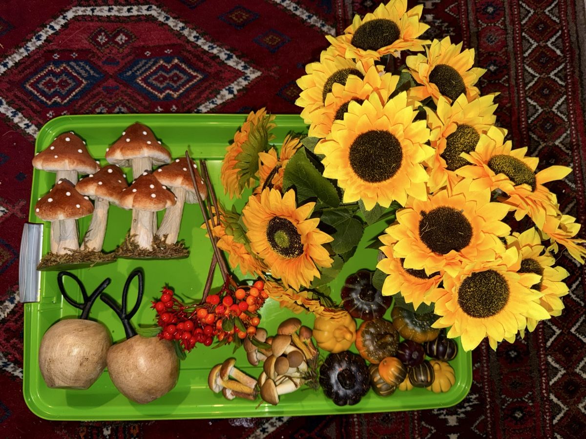 Tutte le decorazioni: Herbst Deko Set: 31-teilig!  – Usato da Pfäffikon ZH venduto da lenaviktoria