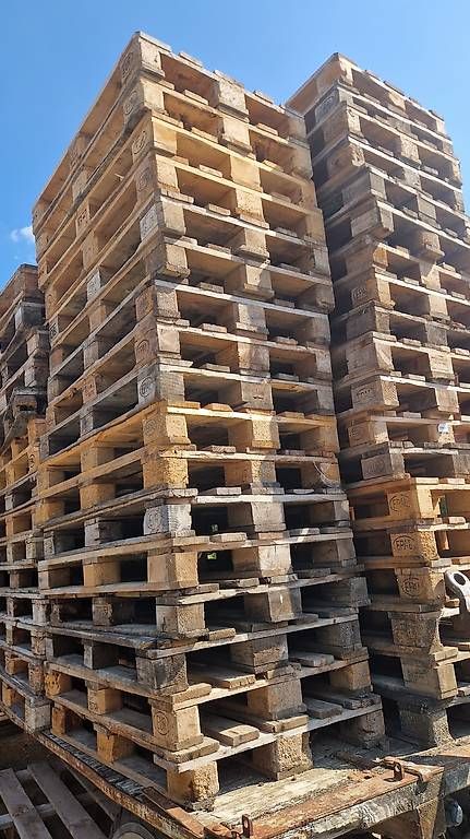 Paletten: Europaletten – Gebraucht aus Münsingen von liz_kg5w