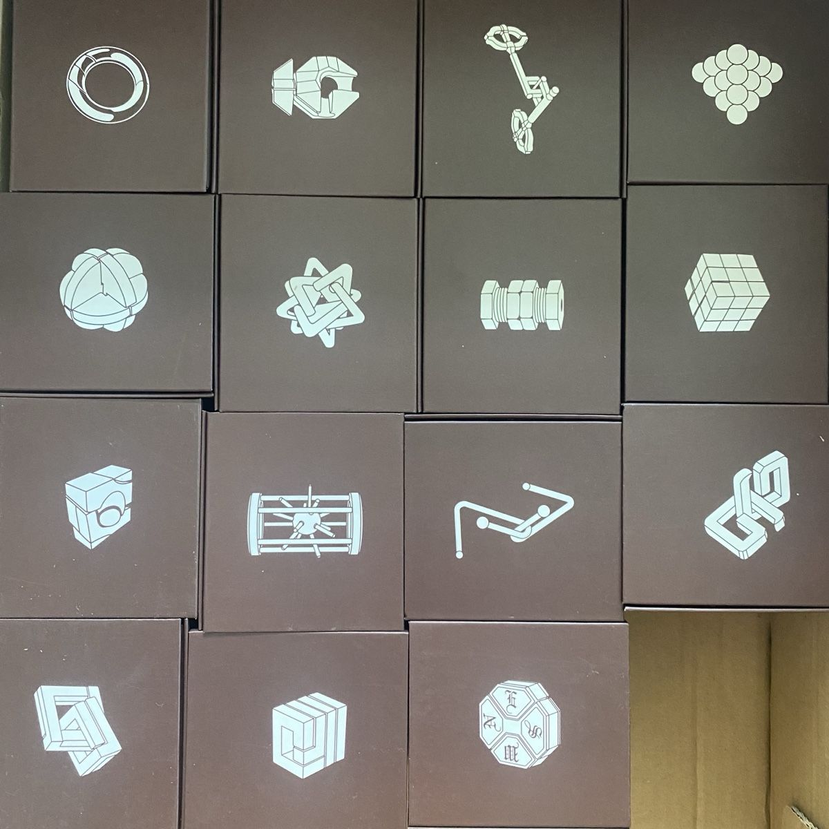 Puzzles: Assorted Brain Teaser Puzzles New Set – Gebraucht aus Adliswil von mic_yw86