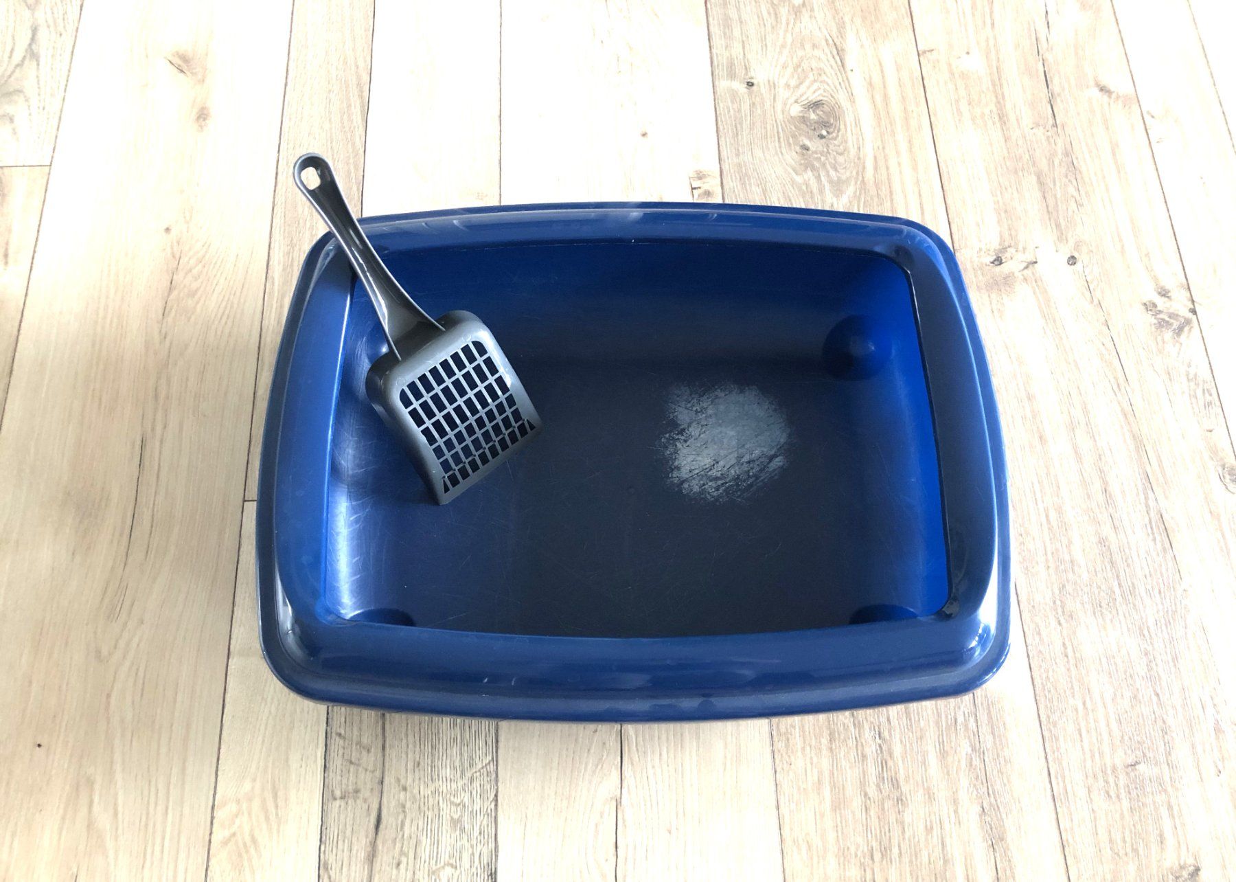WC: Katzenklo mit Schaufel – Usato da Rüti ZH venduto da Jasna89