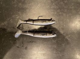 Schleppköder Gummifische