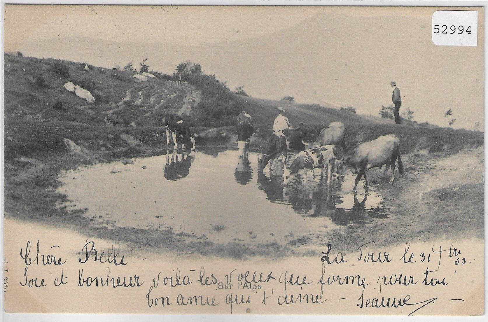 Ansichtskarten: Sur l'Alpe - Kühe vaches – Gebraucht aus Ettingen von Kartenplanet