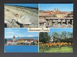 AK Lausanne Ouchy