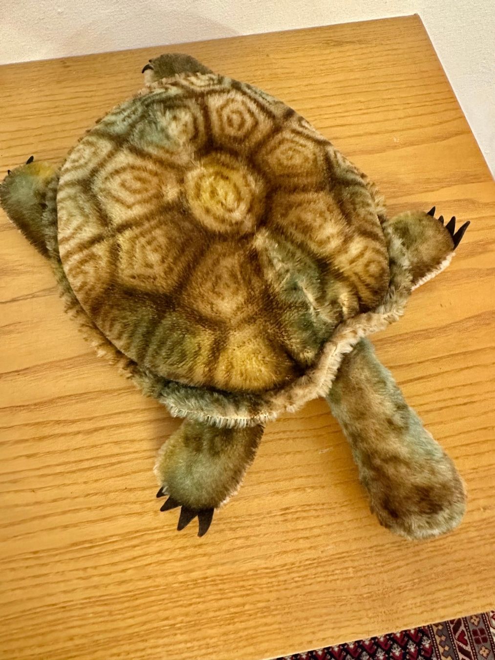 Steiff Giocattoli: Steiff Schildkröte 60er Jahre – Usato da Binz venduto da banbolea 1