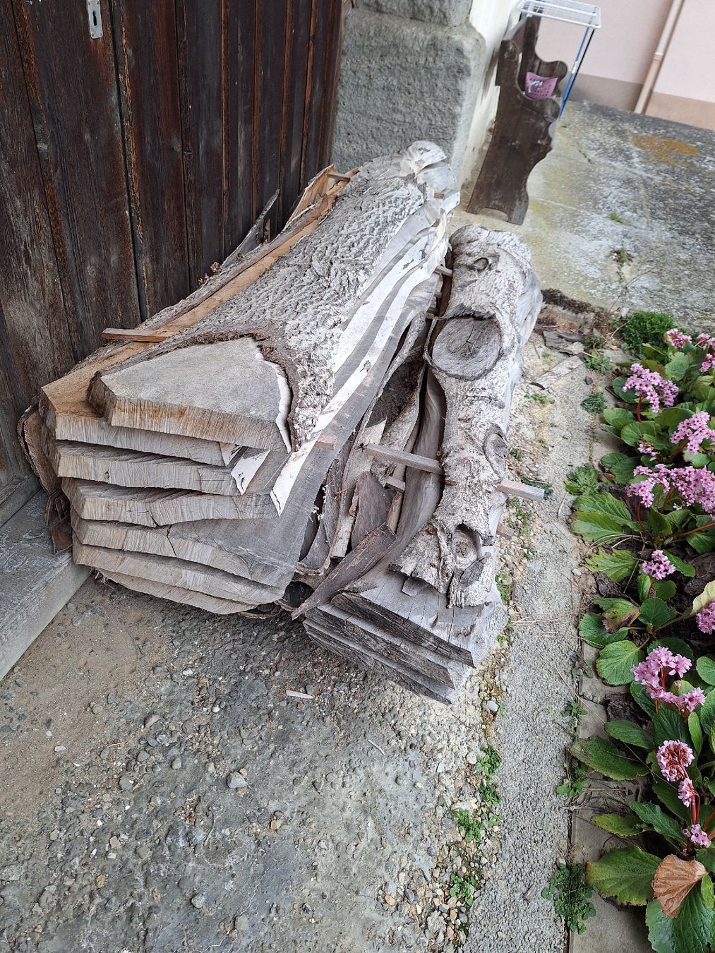 Articoli in legno: planche de noyer – Nuovo (secondo la descrizione) da Bussy FR venduto da 023 6