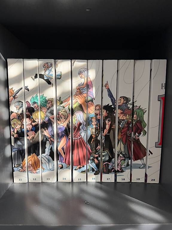 BD: Fairy Tail  Collection complète Hachette grand format – D'occasion à Genève par lau_2rj5 2