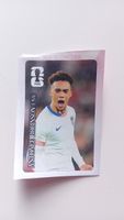 Panini Bild Coca Cola Antonee Robinson