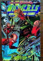 Wild C.A.T.S Nr. 20 Image Splitter, Wildcats
