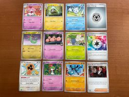 Pokemon 12er Karten Set (Versand gratis)