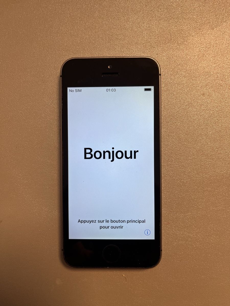 Apple Telefoni cellulari / Smartphones: iPhone 5s 16GB grau – Usato da Rorschacherberg venduto da Victory