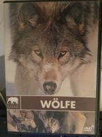 DVD "Wölfe"- Spannender Naturfilm für kalte Wintertage!