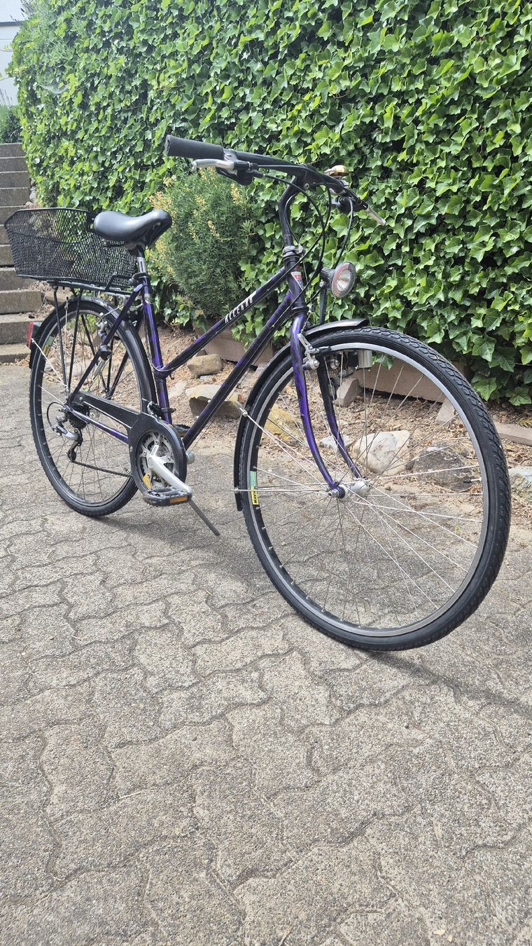 Velos: Velo – Gebraucht aus Oberhasli von Velo_Susak 1