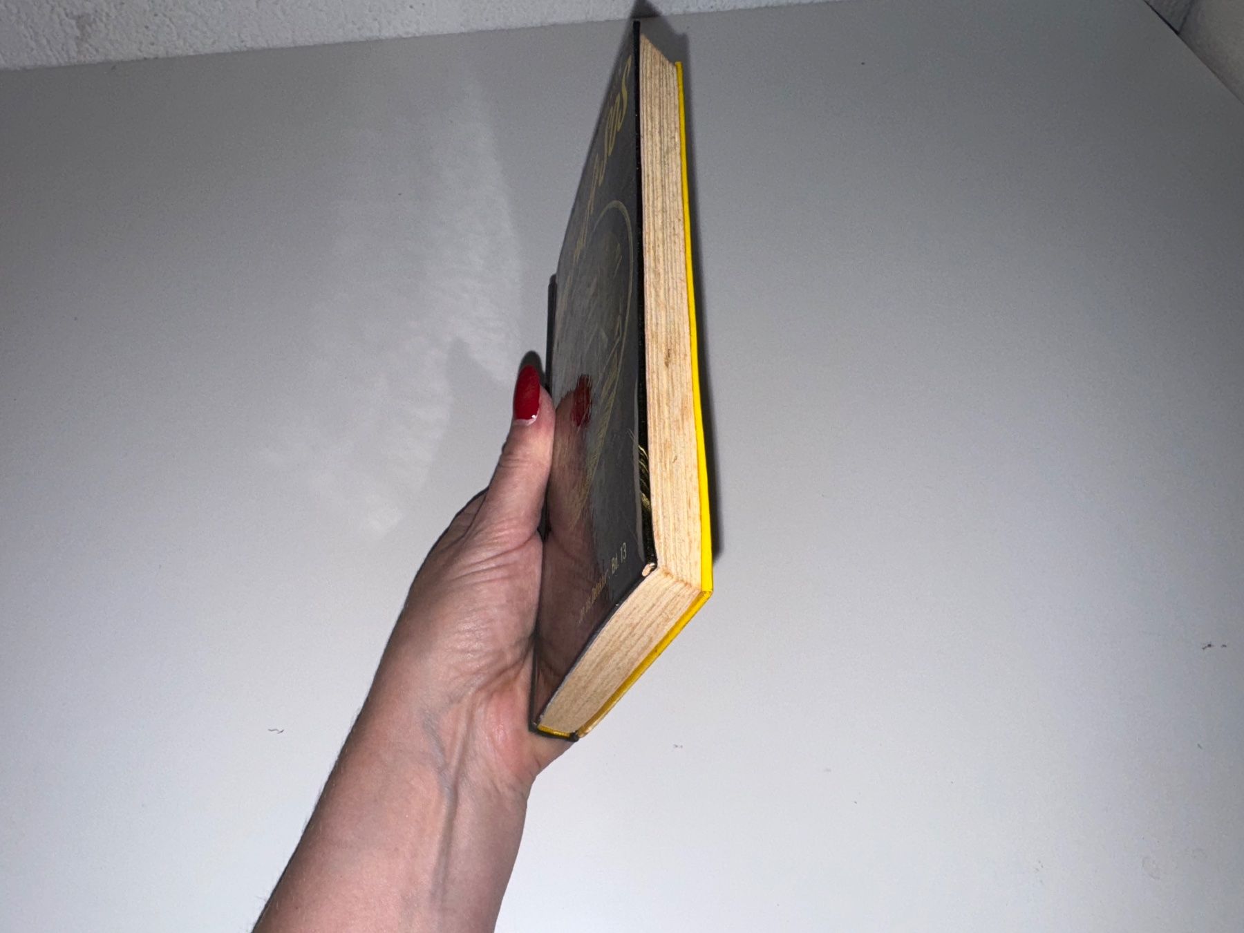 Libri: BUCH: Jan ruft SOS – Usato da Grosswangen venduto da Kleine.Knoepfe 9