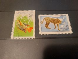 Lot de 2 Timbres Hongrois Vintage - Faune, Rare!