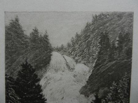 Incisioni: Pischotta Fall Albula Bergün – Usato da Risch venduto da Rischli15 3