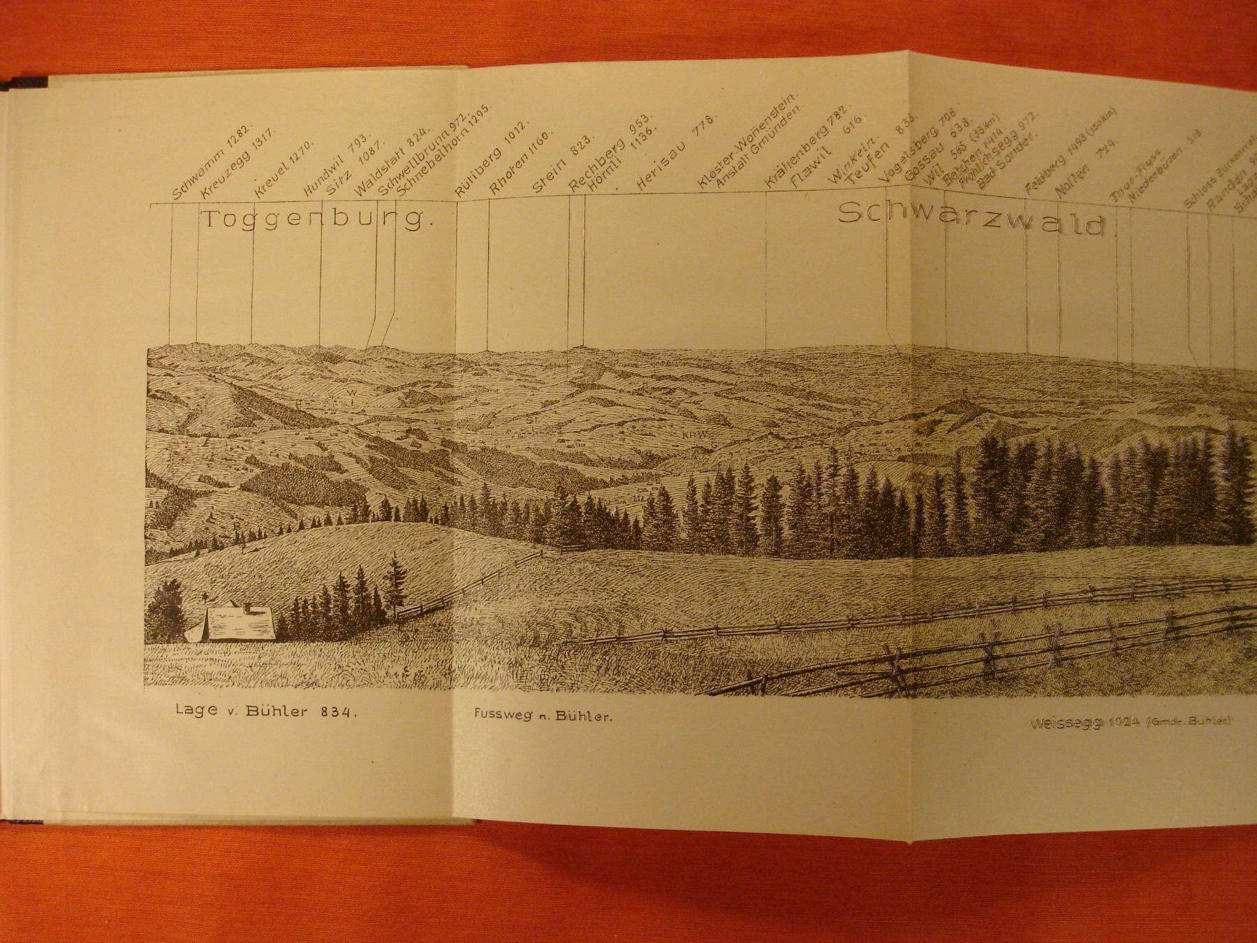 Libri: PANORAMA VOM GÄBRIS – Usato da Grüningen venduto da Kartensammler 1
