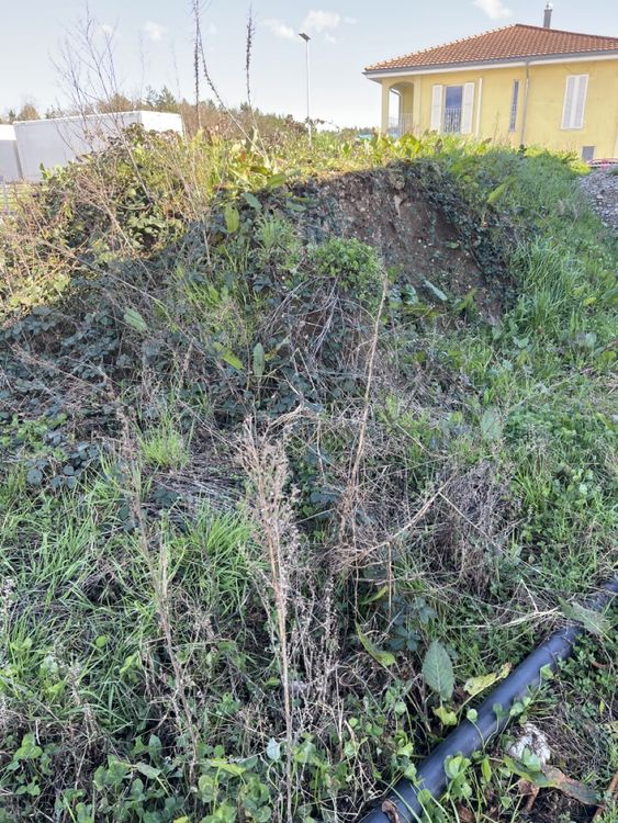 Erde Kaufen auf Ricardo