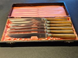 Messerkoffer mit 6 Bratenmesser