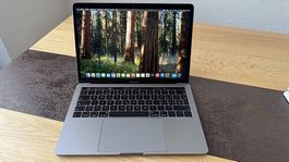 Apple MacBook Pro 13 2019  16 GB RAM / 1 TB SSD  gepflegt