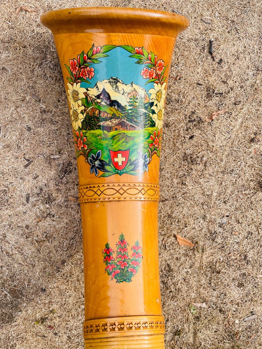 Strumenti musicali: Alphorn von Ernst Nussbaum – Usato da Birsfelden venduto da SandraM78 1