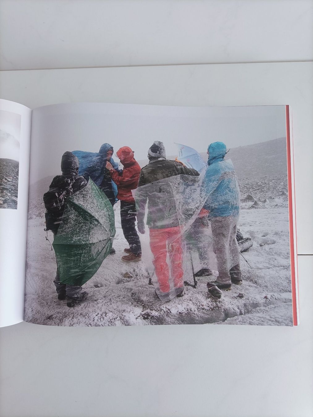 Bücher: Le muséum Recto Verso Muséum d'histoire naturelle Neuchâtel – Gebraucht aus crans montana von AB3963 8