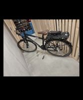 Ebike electric bike