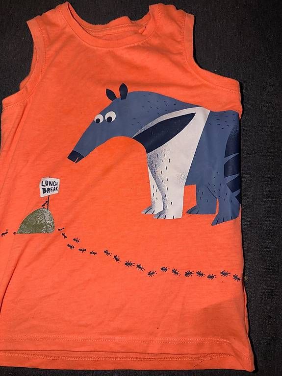 Camicie, T-shirt & Polo: T Shirt Set  gr 98/110 – Usato da Zürich venduto da pat_ql5b 1