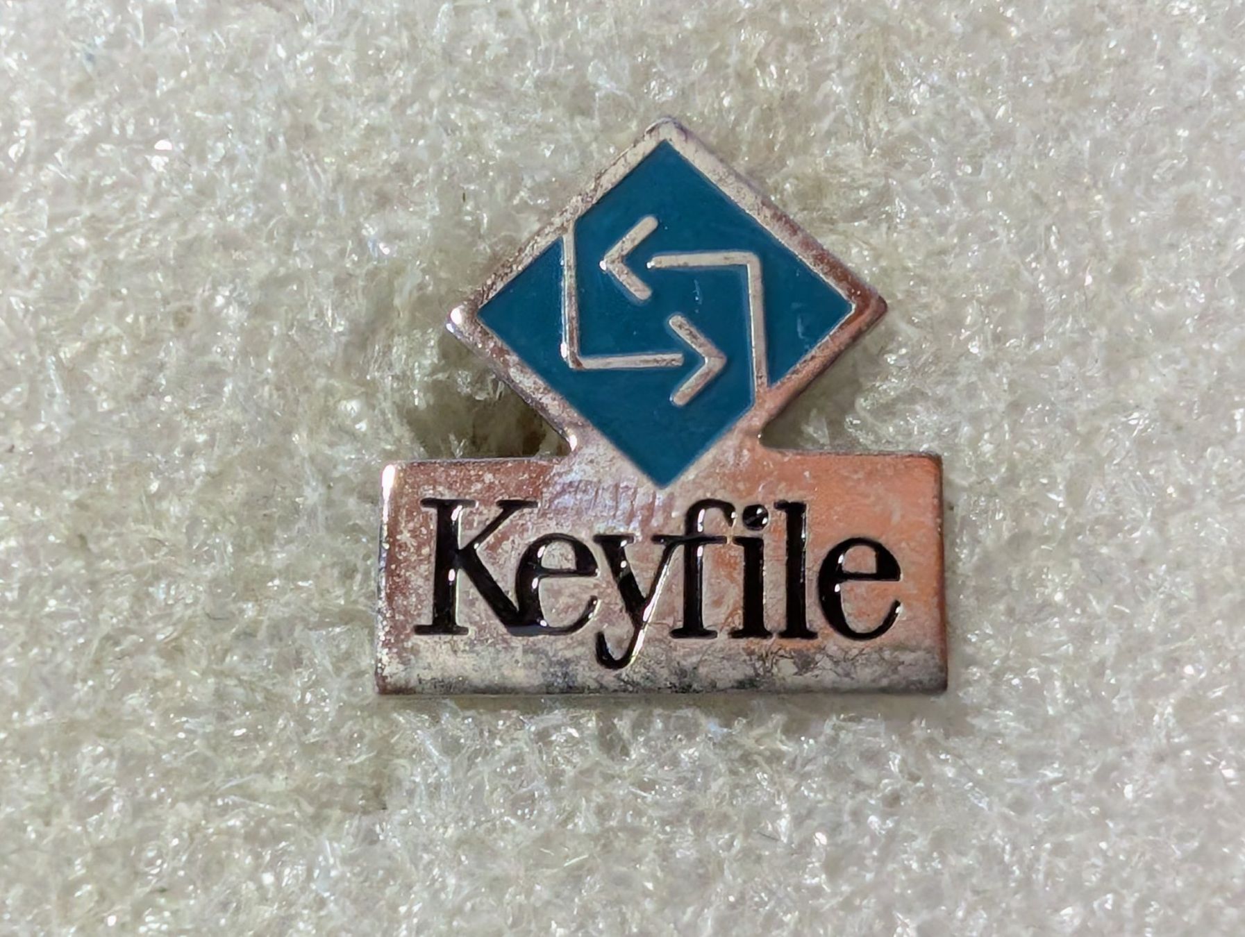 Plaketten & Abzeichen: Ansteckpin 126: Keyfile – Gebraucht aus Oppligen von Pin-Fall-Shop