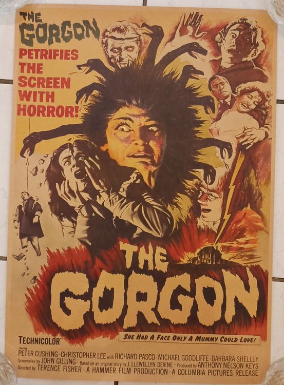 The Gorgon A3 Poster Movie Horror | Kaufen auf Ricardo