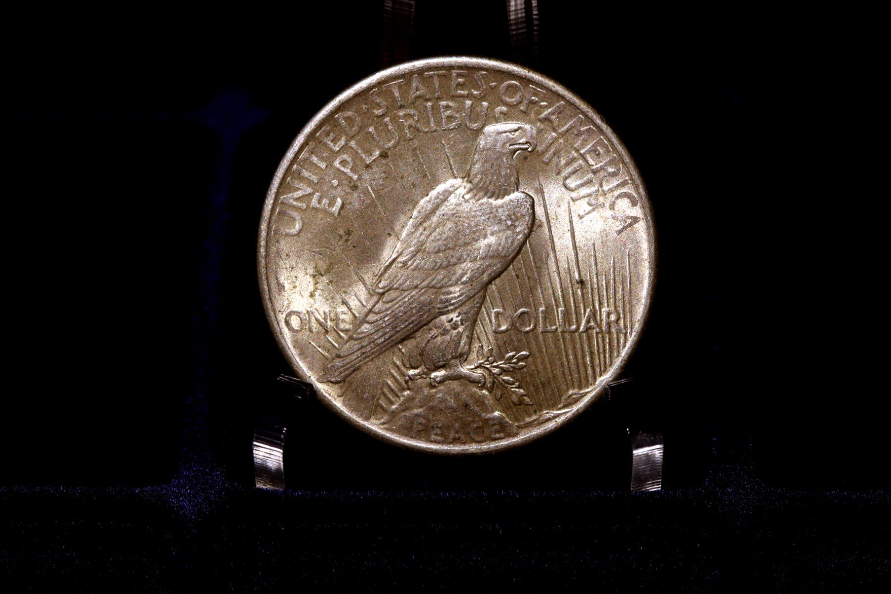 Alle Münzen: Silbermünze "Peace Dollar" 1925 – Gebraucht aus Wetzikon ZH von Scipio80 1